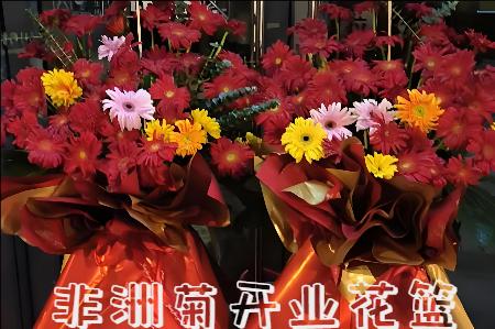 乐山沐川县开业花篮